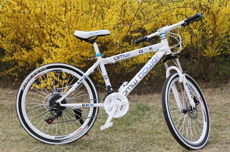自行車行業(yè)